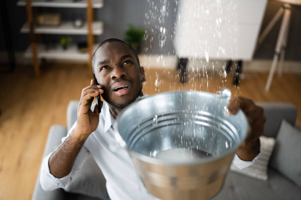 Best Emergency water extraction  in Elmont, NY