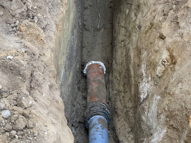 Best Professional water damage repair  in Elmont, NY