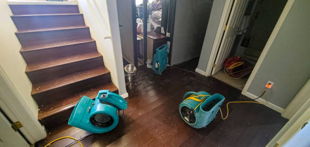 Best Flood restoration services  in Elmont, NY