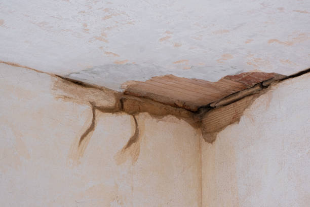 Best Local water damage restoration  in Elmont, NY