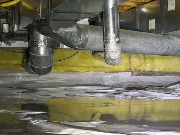Best Flood damage cleanup  in Elmont, NY