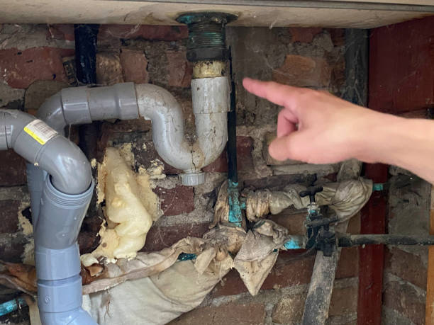 Best Fire Damage Restoration  in Elmont, NY