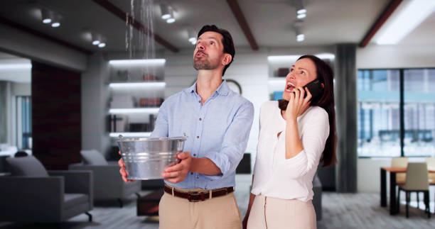 Best Water damage restoration mold remediation  in Elmont, NY